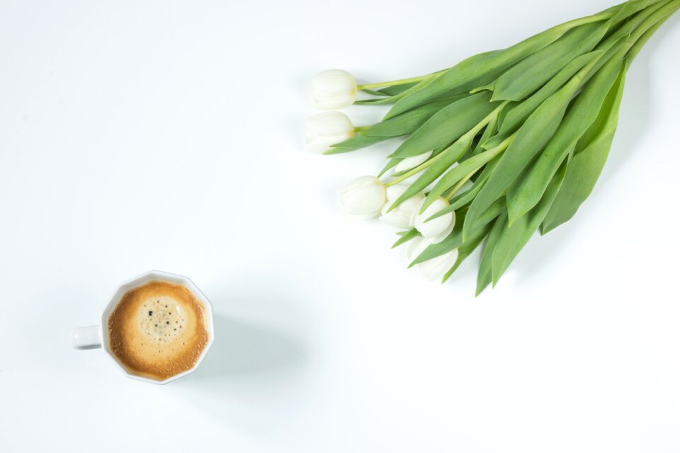 Coffee flowers tulips