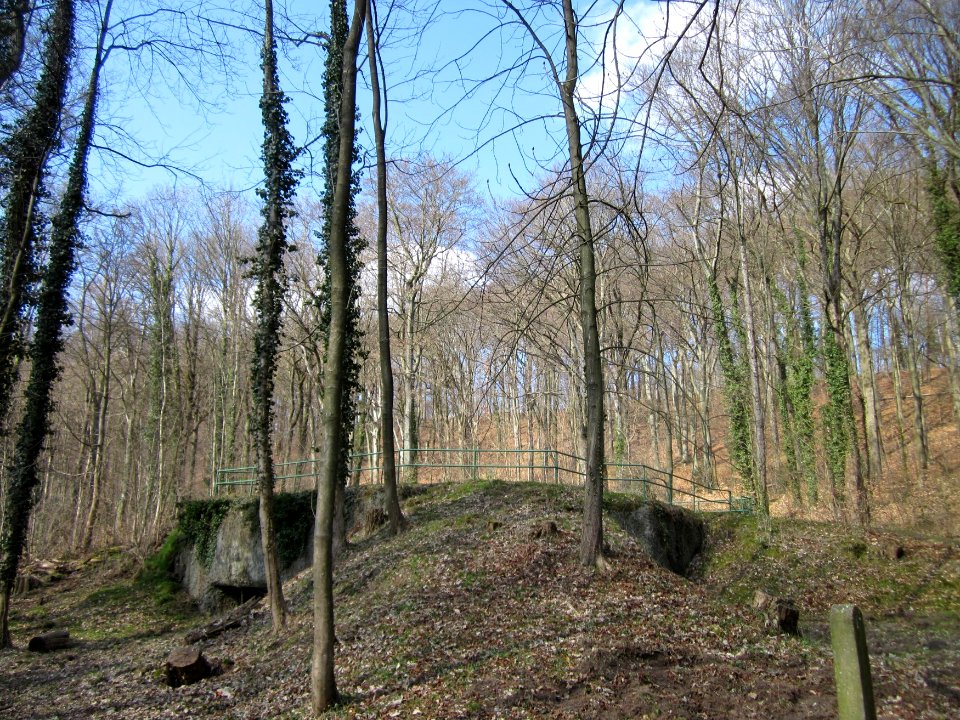 20130407Bunker_Halberg7