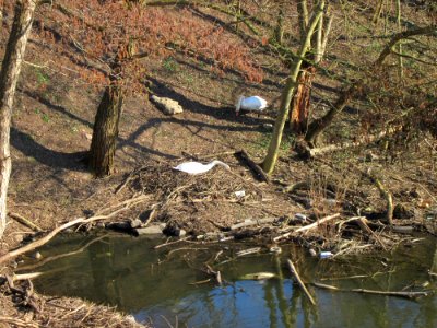 20130401Osthafen_Saarbruecken
