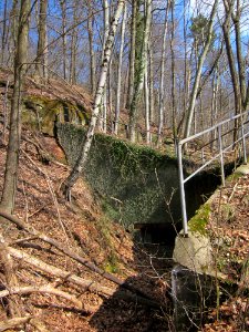 20130407Bunker_Halberg3
