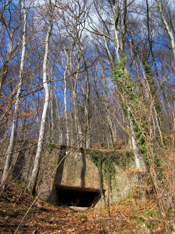 20130407Bunker_Halberg5