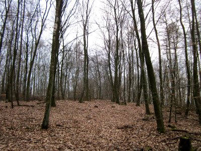 20130331Sonnenberg13