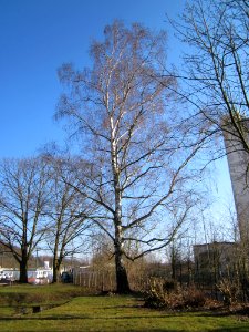 20130401Roemerkastell_Saarbruecken2