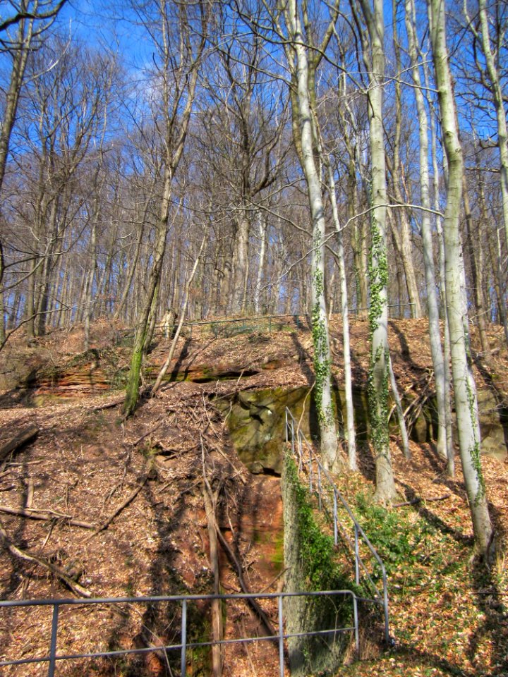 20130407Bunker_Halberg6