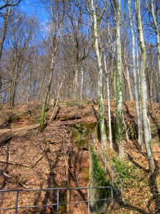 20130407Bunker_Halberg6