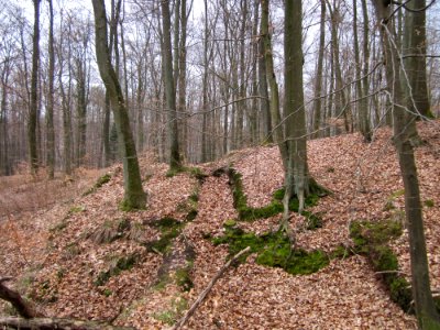 20130331Sonnenberg22