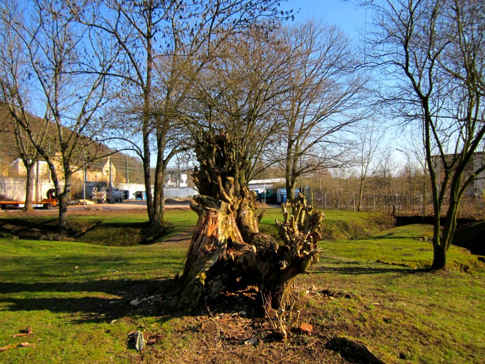 20130401Roemerkastell_Saarbruecken1