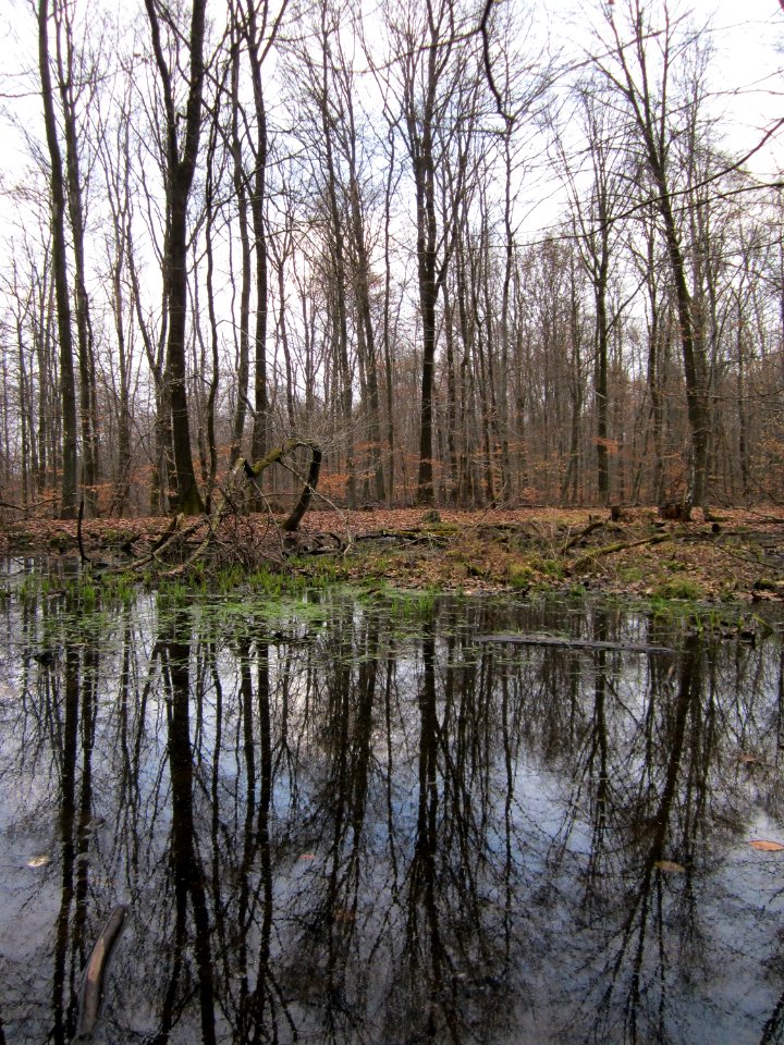 20130331Sonnenberg11