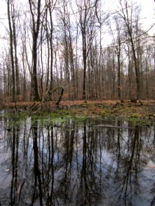 20130331Sonnenberg11