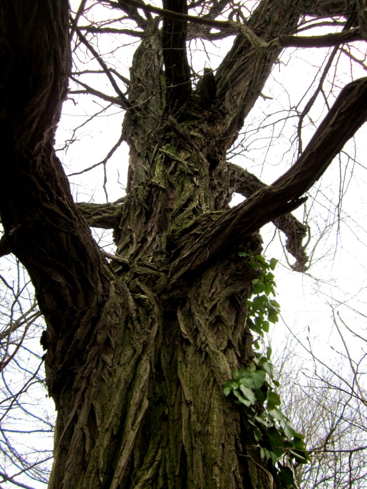20130406Nussberg_Saarbruecken8