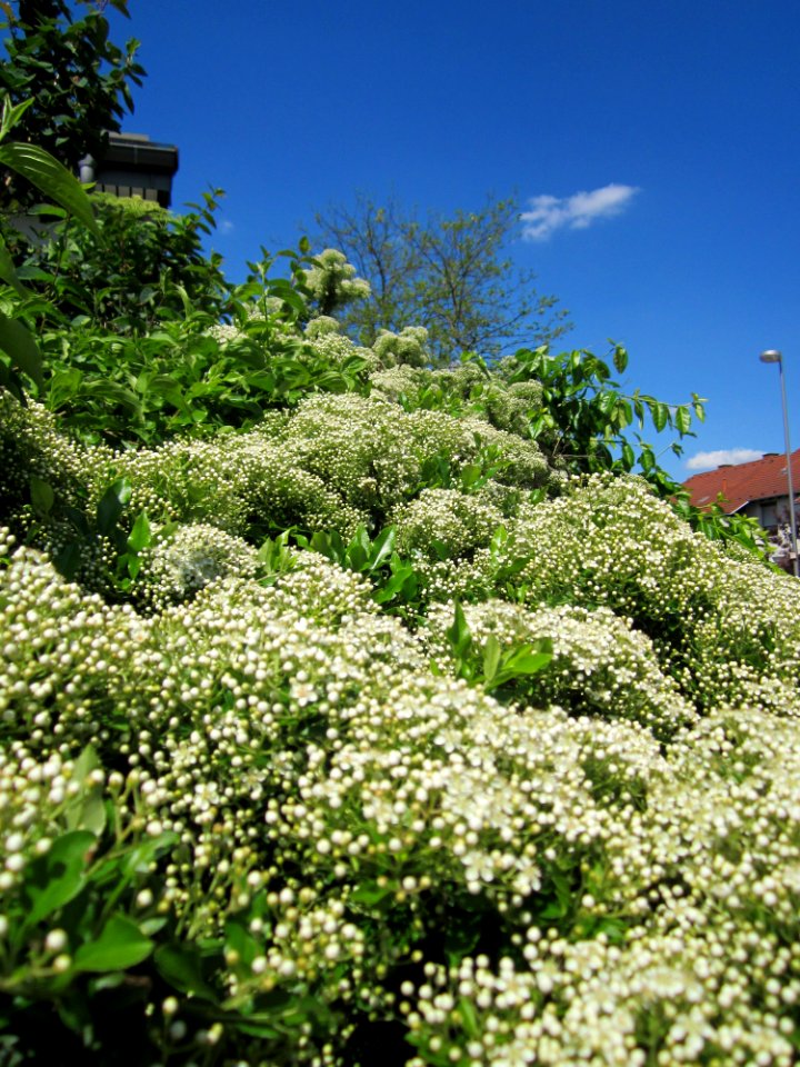 20130528Feuerdorn_Hockenheim8
