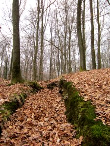 20130331Sonnenberg20