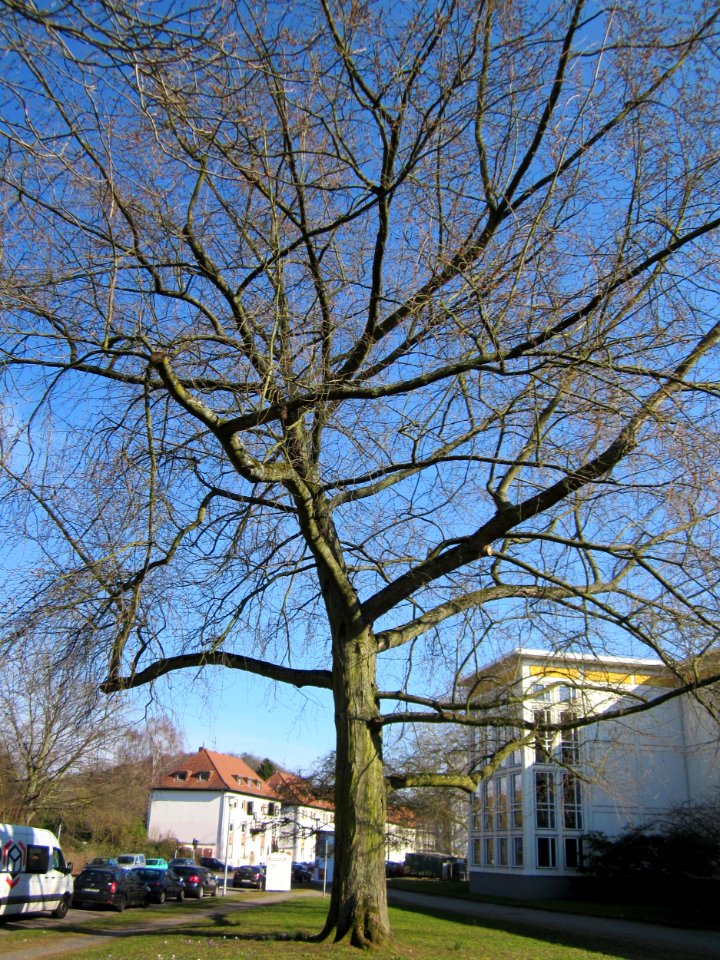 20130401Ostschule_Saarbruecken2
