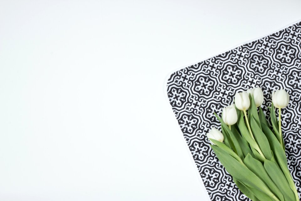 Tulips model morocco