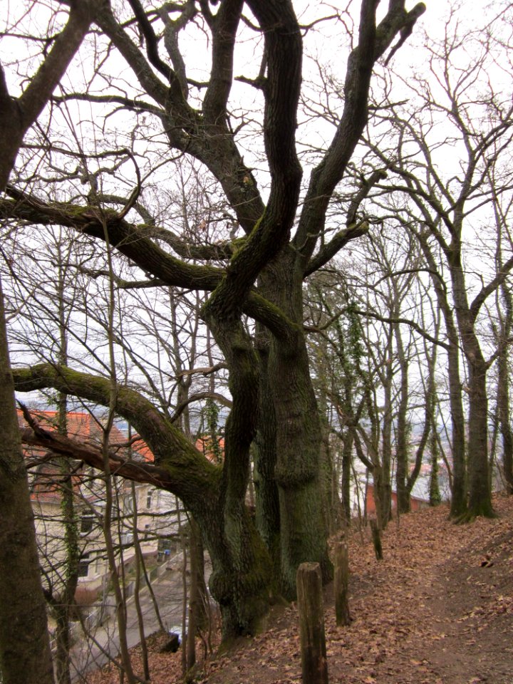 20130406Nussberg_Saarbruecken5