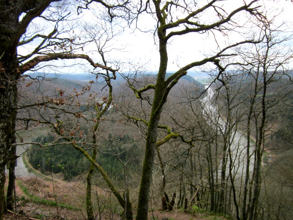 20130418Saarschleife2