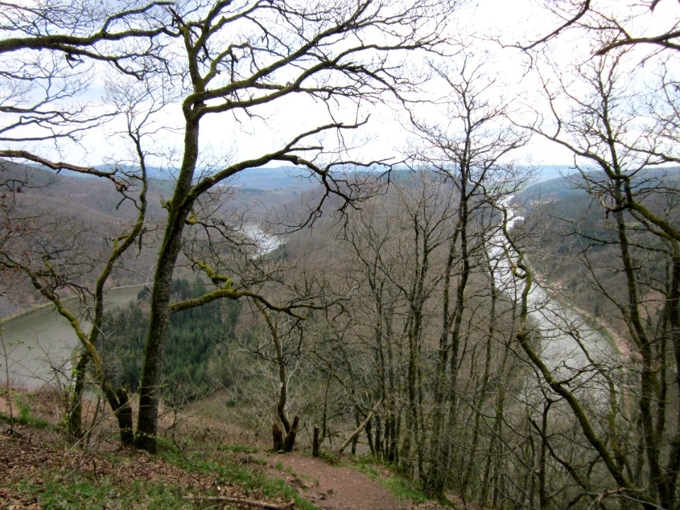 20130418Saarschleife3