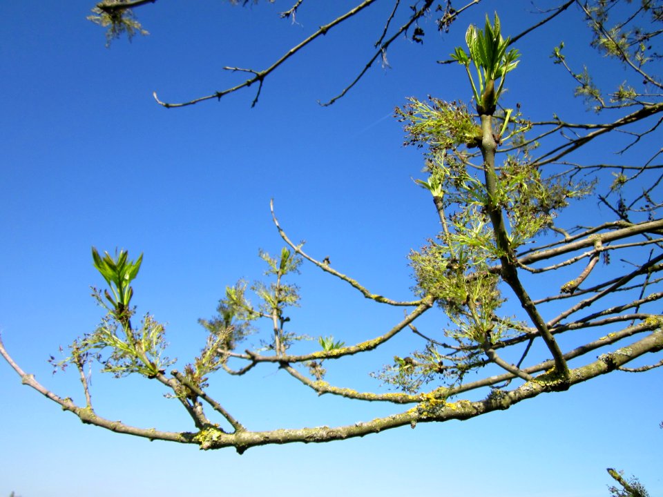 20130424Esche_Hockenheim04