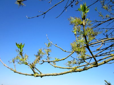 20130424Esche_Hockenheim04