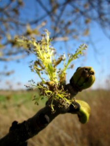 20130424Esche_Hockenheim17