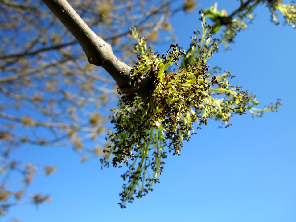 20130424Esche_Hockenheim06