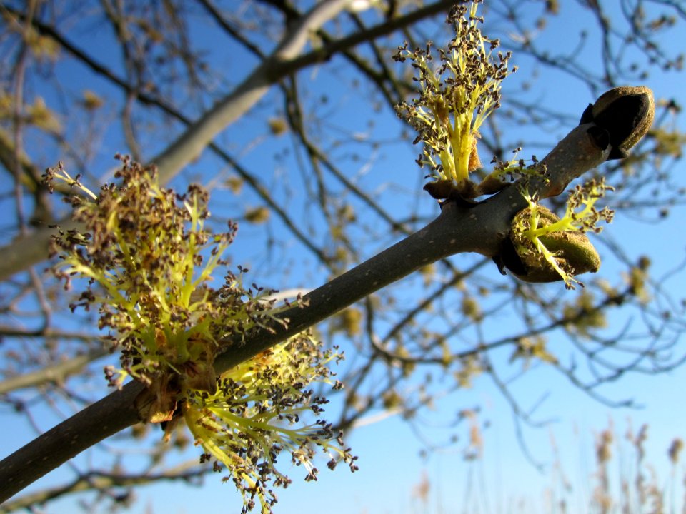 20130424Esche_Hockenheim15