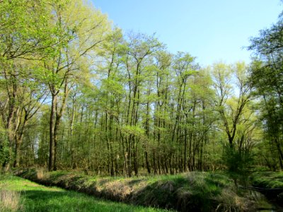 20130424Marlach2