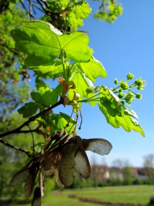 20130424Feldahorn_Hockenheim6