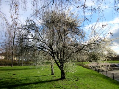20130412Gartenschaupark_Hockenheim08
