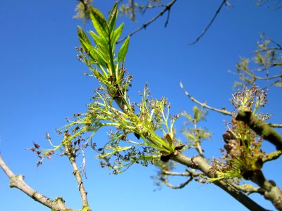 20130424Esche_Hockenheim03