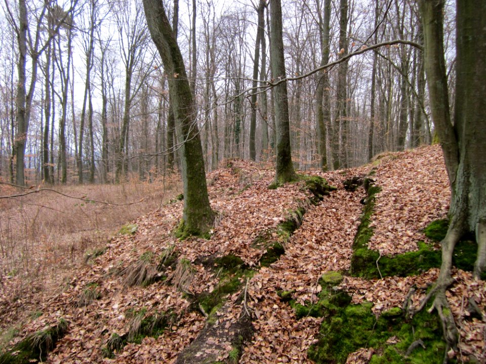 20130331Sonnenberg21