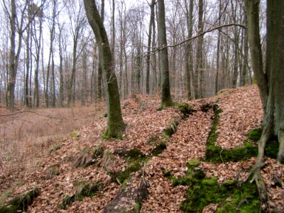 20130331Sonnenberg21