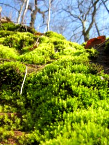 20130407Mithrasgrotte_Halberg3