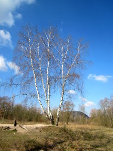 20130407St_Arnualer_Wiesen22