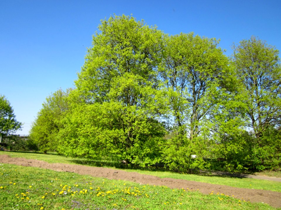 20130424Feldahorn_Hockenheim3