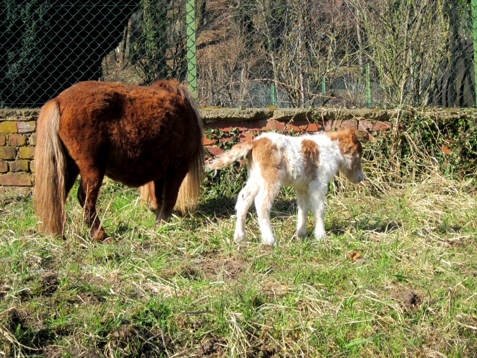 20130407Stummsche_Kapelle11
