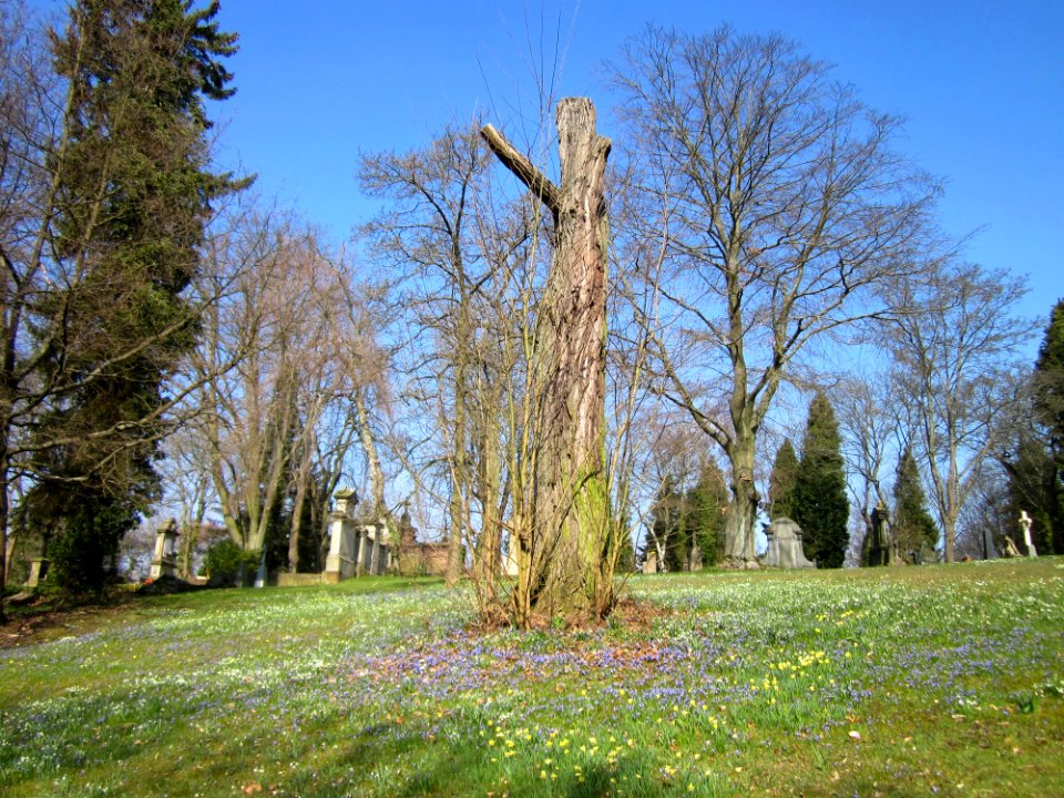 20130402Friedhof_St_Johann