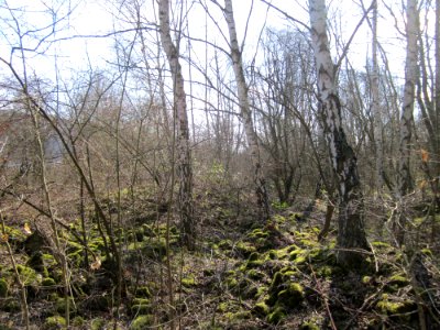 20130407St_Arnualer_Wiesen13
