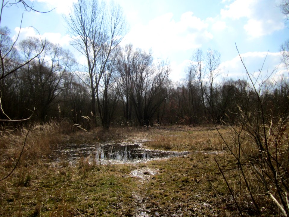 20130407St_Arnualer_Wiesen28