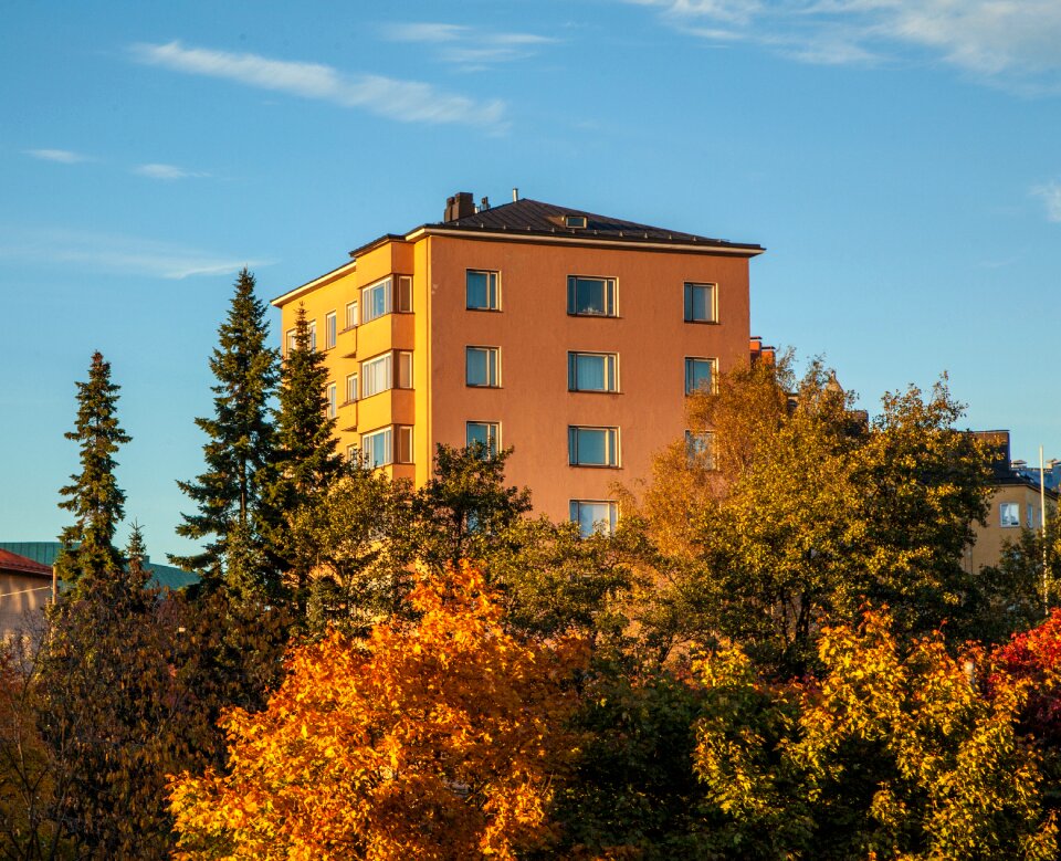 Autumn street building