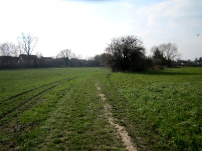 20130327Froeschau_Reilingen4