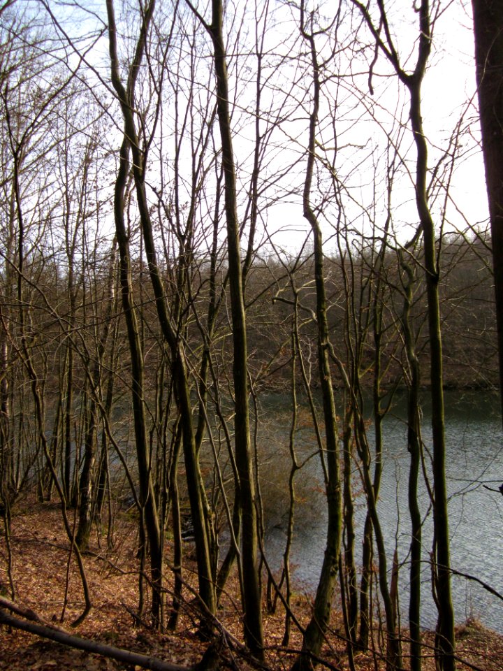 20130310Steinbachtal7