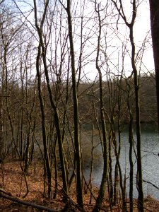 20130310Steinbachtal7