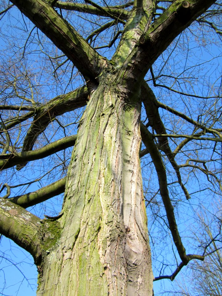 20130402Ostschule_Saarbruecken4