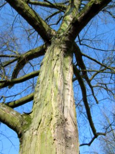 20130402Ostschule_Saarbruecken4