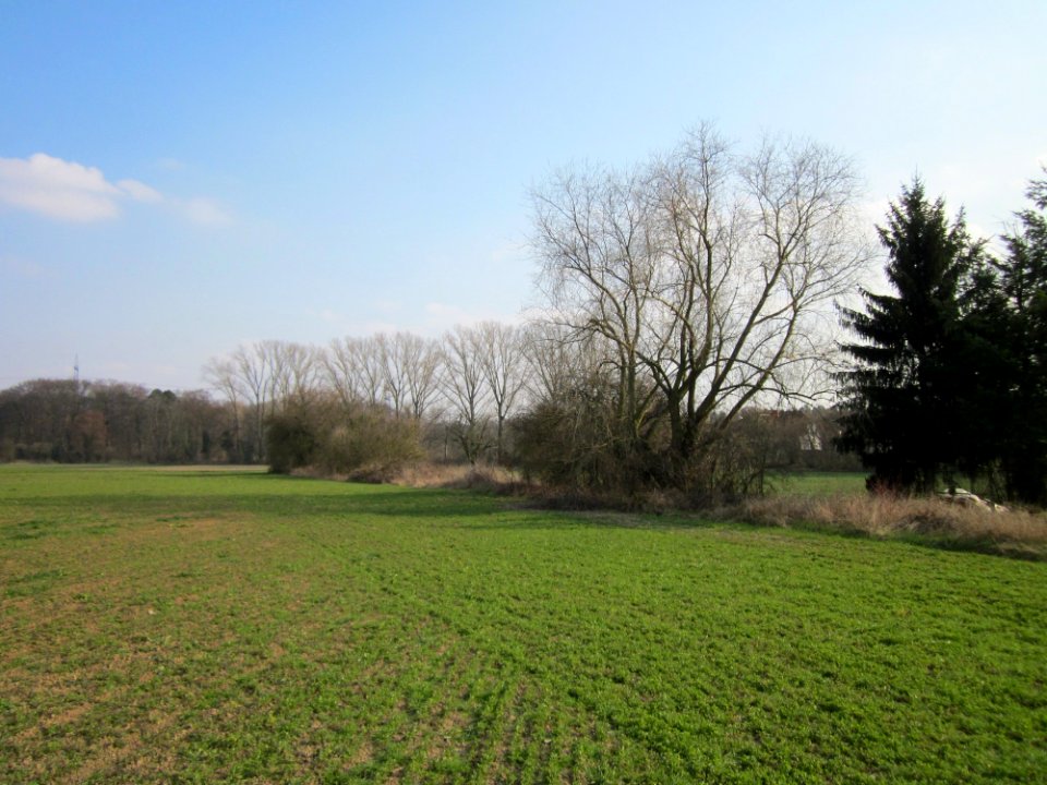 20130327Froeschau_Reilingen1