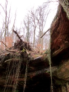 20130331Felsenwege_Sonnenberg07