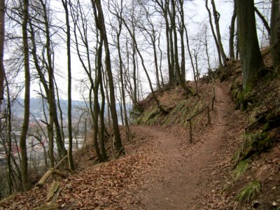 20130331Felsenwege_Sonnenberg01