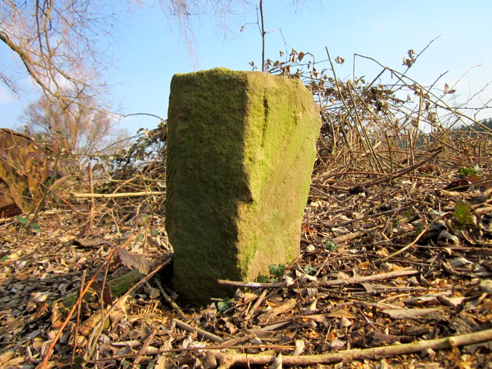 20130327Grenzstein_Kisselwiesen_Reilingen2