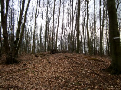 20130331Sonnenberg06